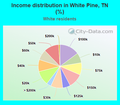 Income distribution in White Pine, TN (%)