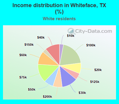 Income distribution in Whiteface, TX (%)