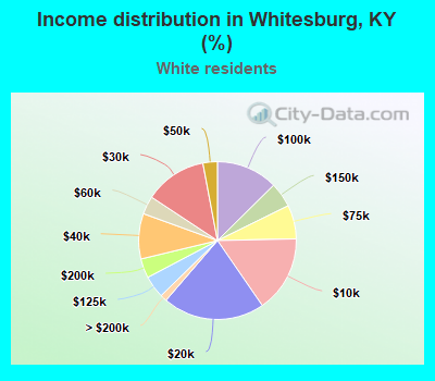 Income distribution in Whitesburg, KY (%)