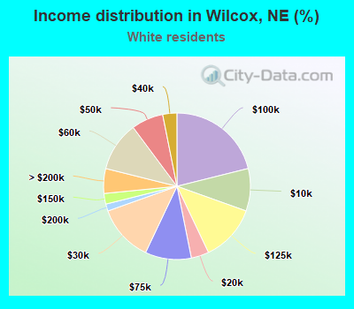Income distribution in Wilcox, NE (%)