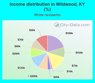 Income distribution in Wildwood, KY (%)
