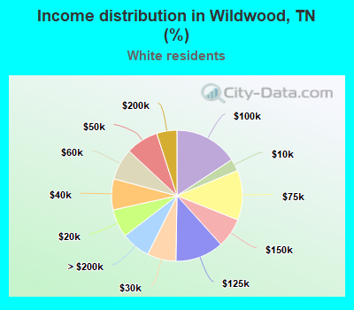 Income distribution in Wildwood, TN (%)