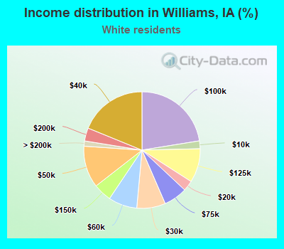 Income distribution in Williams, IA (%)
