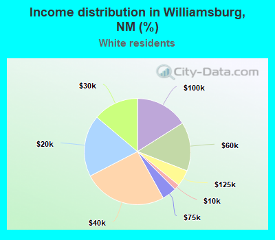 Income distribution in Williamsburg, NM (%)