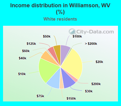 Income distribution in Williamson, WV (%)
