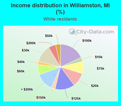 Income distribution in Williamston, MI (%)