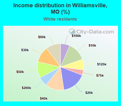 Income distribution in Williamsville, MO (%)