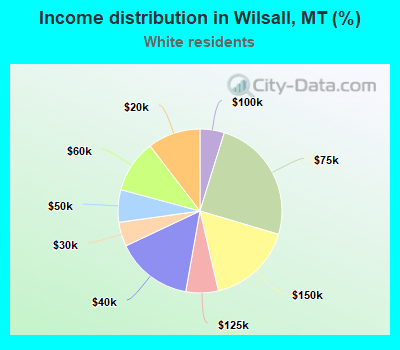 Income distribution in Wilsall, MT (%)