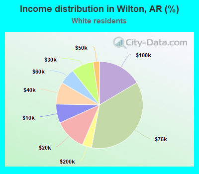 Income distribution in Wilton, AR (%)