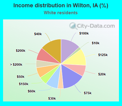 Income distribution in Wilton, IA (%)