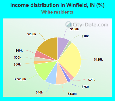 Income distribution in Winfield, IN (%)