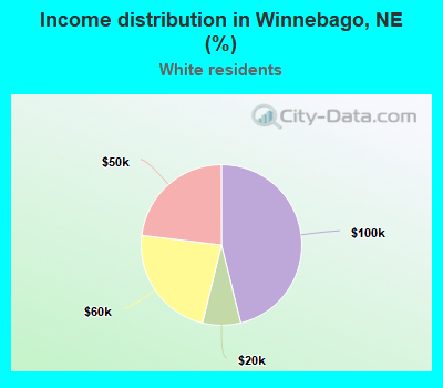 Income distribution in Winnebago, NE (%)