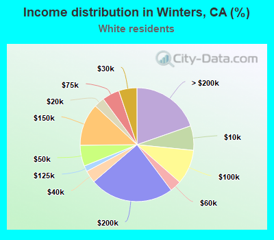 Income distribution in Winters, CA (%)