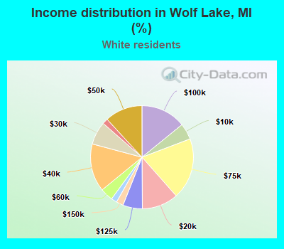 Income distribution in Wolf Lake, MI (%)