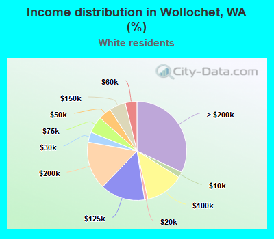 Income distribution in Wollochet, WA (%)