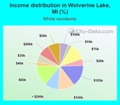Income distribution in Wolverine Lake, MI (%)
