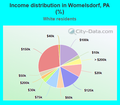 Income distribution in Womelsdorf, PA (%)