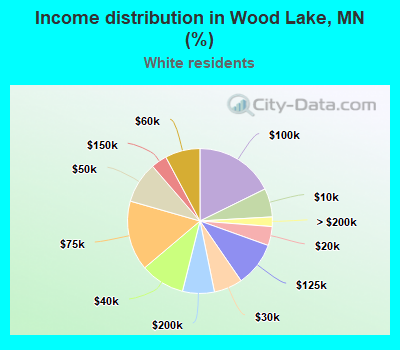 Income distribution in Wood Lake, MN (%)
