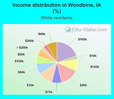 Income distribution in Woodbine, IA (%)