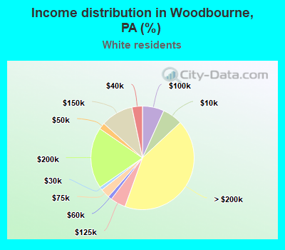 Income distribution in Woodbourne, PA (%)