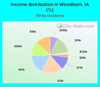 Income distribution in Woodburn, IA (%)