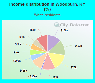 Income distribution in Woodburn, KY (%)
