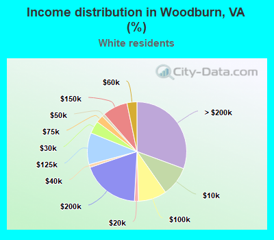 Income distribution in Woodburn, VA (%)