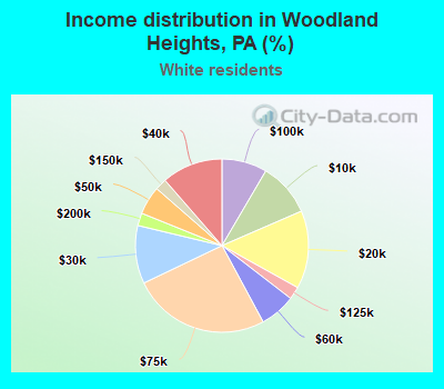 Income distribution in Woodland Heights, PA (%)