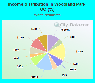Income distribution in Woodland Park, CO (%)