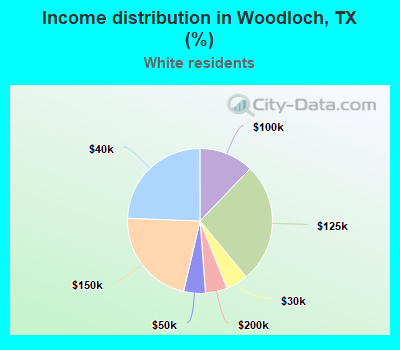 Income distribution in Woodloch, TX (%)