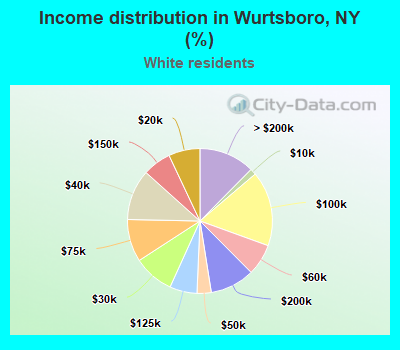 Income distribution in Wurtsboro, NY (%)