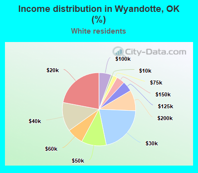 Income distribution in Wyandotte, OK (%)