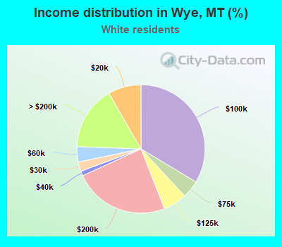 Income distribution in Wye, MT (%)