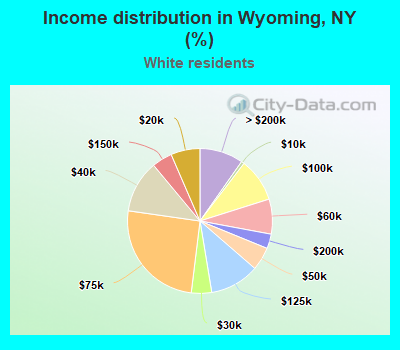 Income distribution in Wyoming, NY (%)