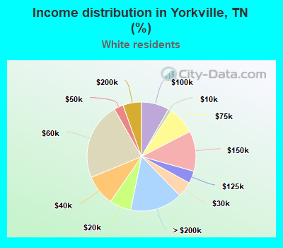 Income distribution in Yorkville, TN (%)