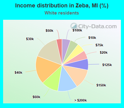 Income distribution in Zeba, MI (%)