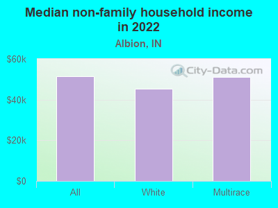 Median non-family household income in 2022