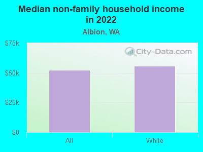 Median non-family household income in 2022