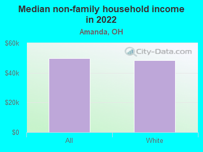 Median non-family household income in 2022