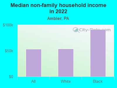 Median non-family household income in 2022