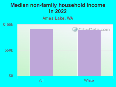 Median non-family household income in 2022