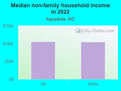 Median non-family household income in 2022