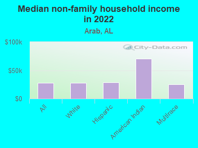 Median non-family household income in 2022