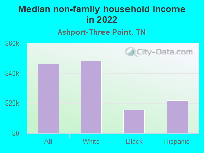 Median non-family household income in 2022