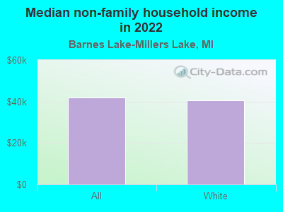 Median non-family household income in 2022