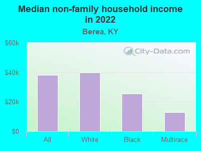 Median non-family household income in 2022