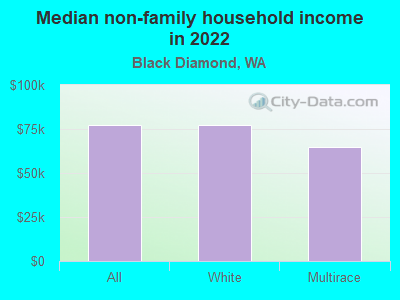 Median non-family household income in 2022