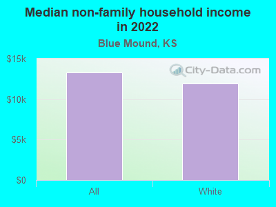 Median non-family household income in 2022