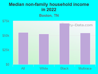 Median non-family household income in 2022