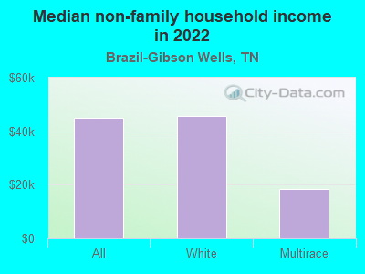 Median non-family household income in 2022